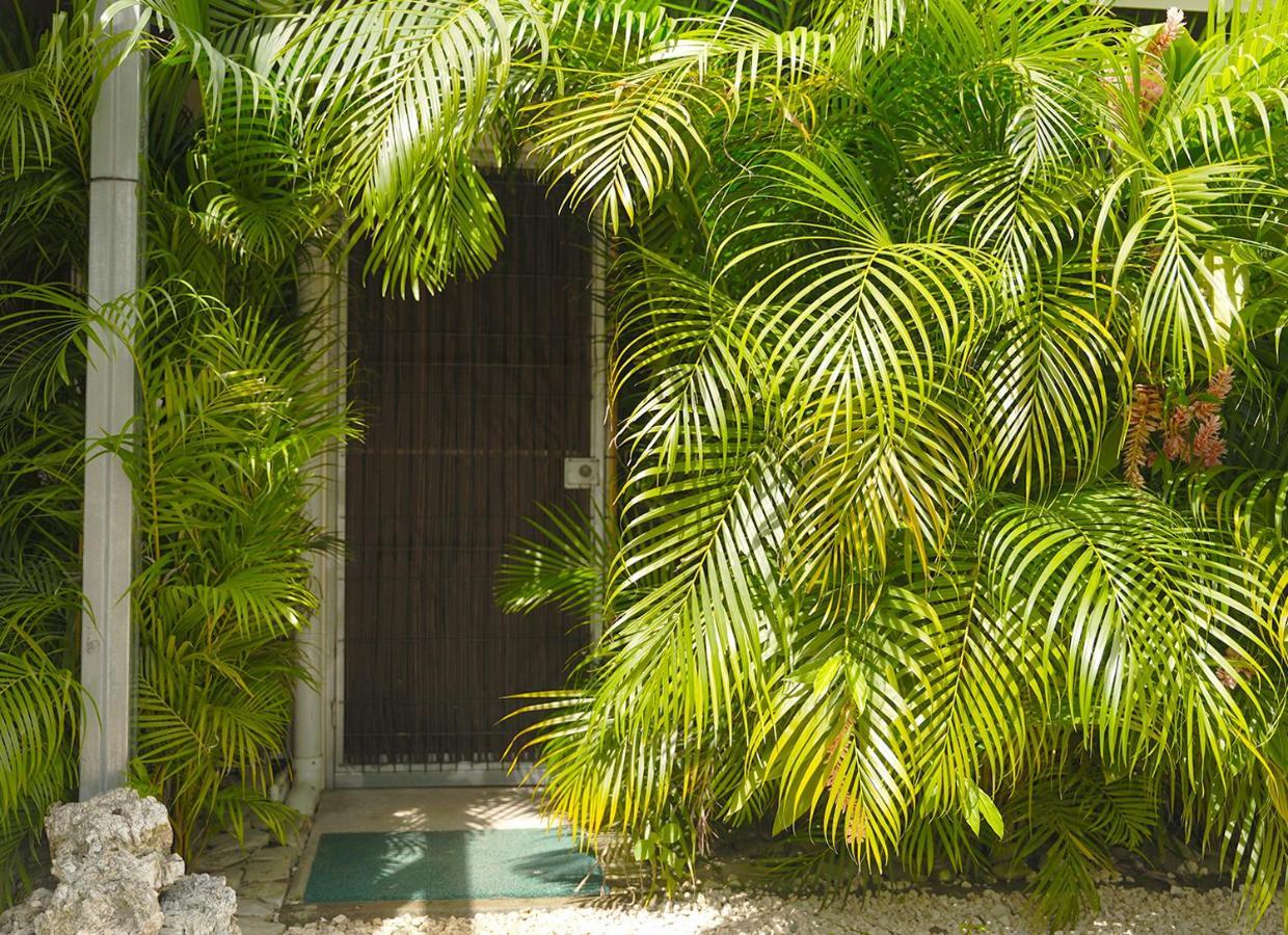 Apartamentos Y Studios Brisas Del Mar Santa Teresa Playa Santa Teresa  Kültér fotó